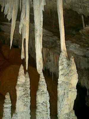 The foreground of this picture shows four thin, whitish stalactite-stalagmite pairs. The two foremost pairs have already joined. The third pair is bifurcated, so would originally have been two pairs.