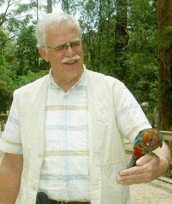 Frits is delighted by a  baby rosella perching on his hand