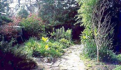 our garden path in springtime
