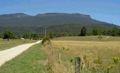 a country road in Tasmania