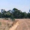 ...Wild play area affected by drought...