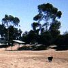 ...Drought-affected park-land...