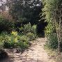 ...The garden path in early spring, with growth still neat and disciplined...