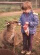 ...Mummy feeding Twisties to a wallaby...