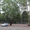 ...Car park at Healesville... [36029bytes]