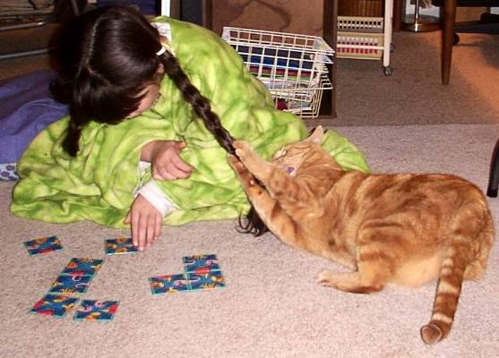 Marmalade pulling Jen's plaits