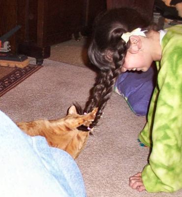 Marmalade pulling Jen's plaits