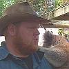 A keeper nursing a koala.