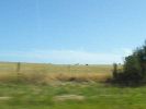 We pass  grazing cows [8646 bytes]