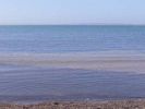 Grassy weed darkens water below low tide mark [12792 bytes]