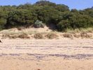 Tide marks on the sand at Ventnor [23147 bytes]
