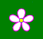 five petalled flower
