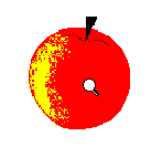 Zoomed picture of an apple