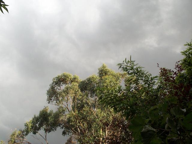 stormysky03.jpg [640*480] [47441bytes]