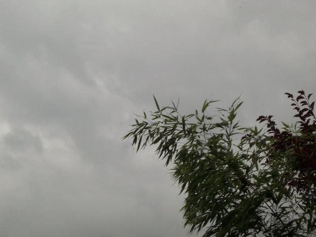 stormysky04.jpg [640*480] [30644bytes]