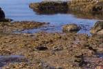...view of rock pools... [27780 bytes]
