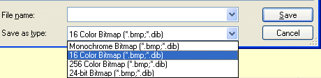drop-down format list in Paint Copy to dialogue